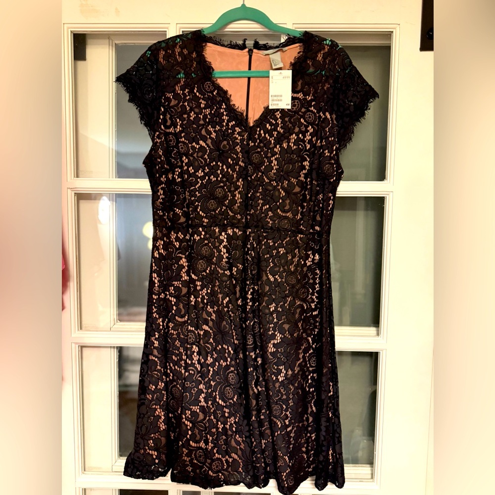 NWT H&M Lace dress. Size Large.